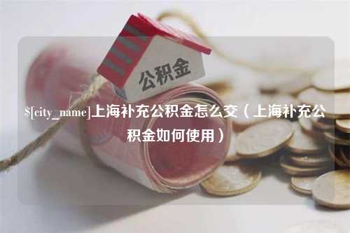 大庆上海补充公积金怎么交（上海补充公积金如何使用）